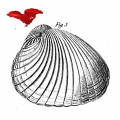 コマ・ウェスト