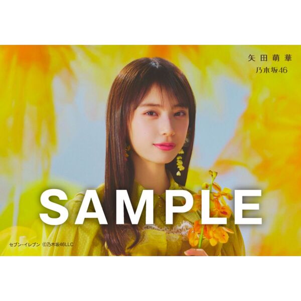 乃木坂46／42ndシングル『是非に及ばず』（Type-D／CD+Blu-ray