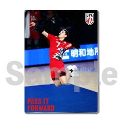 【バレーボール男子日本代表】メタルディスプレイ  ドイツ戦 02