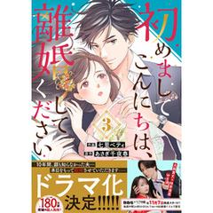 初めましてこんにちは、離婚してください3巻