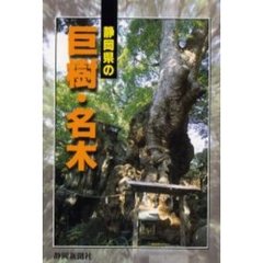 静岡県の巨樹・名木