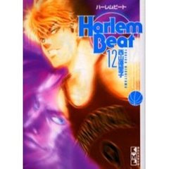 ハーレムビート　１２