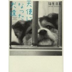 天使になった犬達