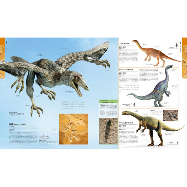 生物の進化大図鑑