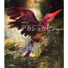アカショウビン―琉球の紅Ruddy Kingfisher Crimson of Ryukyu