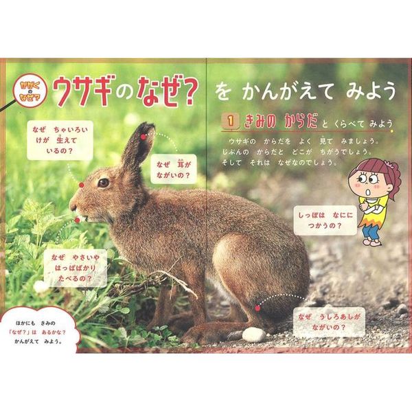 なぜ？どうして？ セット なぜ？どうして？ セット 楽天市場】なぜ？どうして？ セットの通販