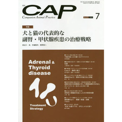 ＣＡＰ　３７３