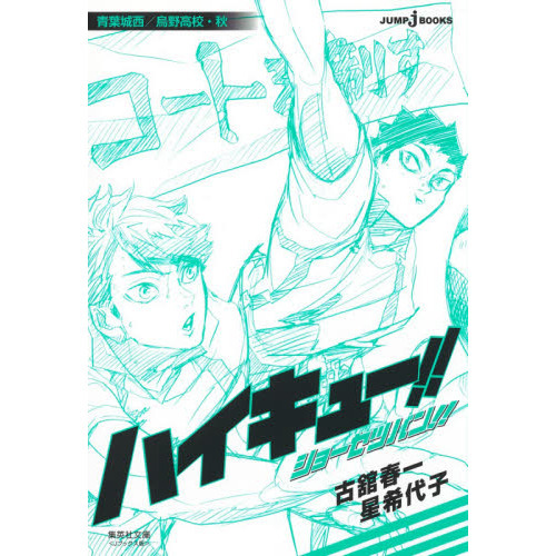 ハイキュー 青葉城西 青城 ジャージ ドン・キホーテ限定 ドンキ  Mサイズ Amazon.co.jp: ハイキュー!! ドンキ ジャージ 青葉城西 : おもちゃ