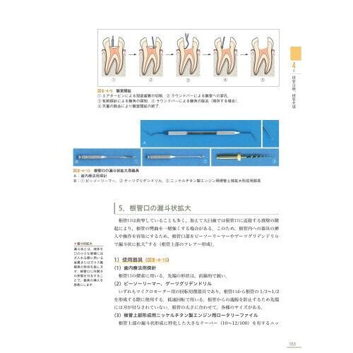 保存修復学・歯内療法学