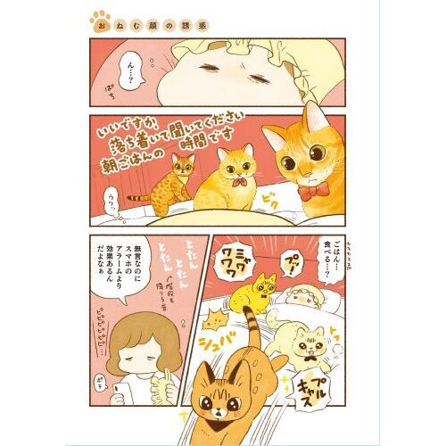 しまねこ Amazon.co.jp: しまねこ3姉妹と暮らしています 深まるきずな編