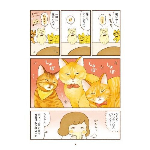 しまねこ３姉妹と暮らしています 通販｜セブンネットショッピング