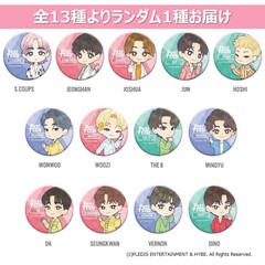 Petiteen 13体セット　SEVENTEEN PetiTEEN フォトホルダー 13種 : いただきプラザ Yahoo!店