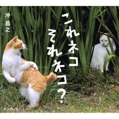 これネコそれネコ？