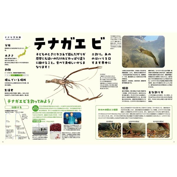 とれたて魚で簡単ごちそうレシピ サッと作れて本格派!鮮魚料理のすすめ とれたて魚で簡単ごちそう