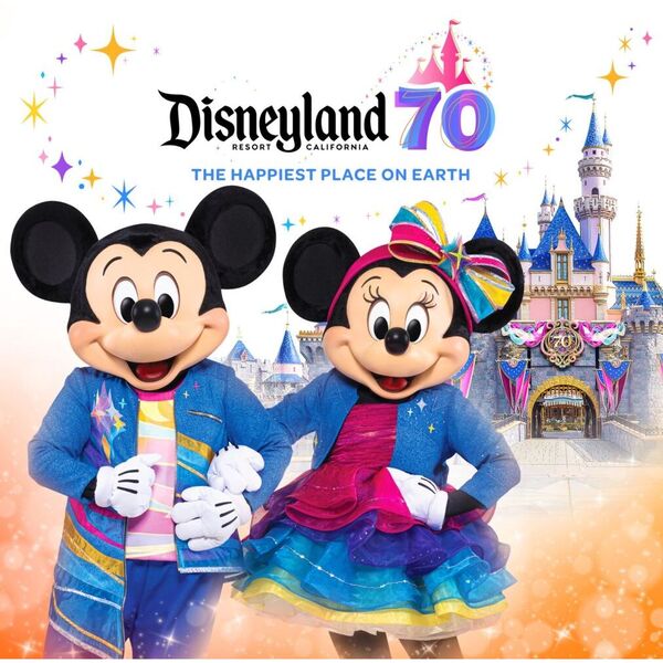 ディズニーランド　カリフォルニアディズニー　50周年限定　タオル カリフォルニア ディズニーランド・リゾート70周年セレブ
