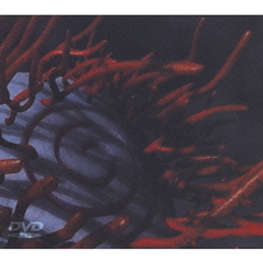 スキズム（ＤＶＤ）