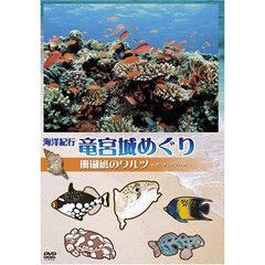 海洋紀行・竜宮城めぐり Vol.1 珊瑚礁のワルツ（ＤＶＤ）
