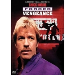 チャック・ノリスの地獄の復讐（ＤＶＤ）