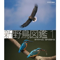 Blu-ray 新 野鳥図鑑 第1集 狩をする鳥／森や渓流の鳥（Ｂｌｕ－ｒａｙ）