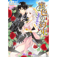 蜜色の約束　～盗まれた聖女～
