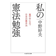 私の憲法勉強　──嵐の中に立つ日本の基本法