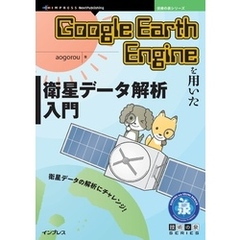 Google Earth Engineを用いた衛星データ解析入門
