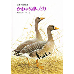 かわやぬまのとり
