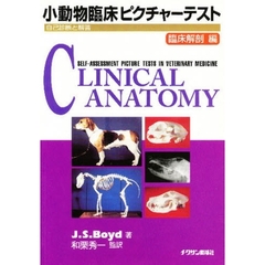小動物臨床ピクチャーテスト　臨床解剖編