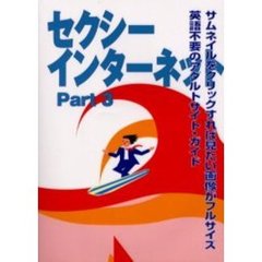 セクシーインターネット　Ｐａｒｔ３