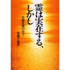 霊は実在する、しかし　真贋乱舞の中で　新装版