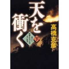 天を衝く　秀吉に喧嘩を売った男・九戸政実　下