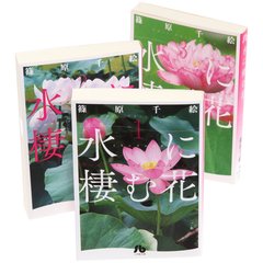 水に棲む花　全巻セット　（全3巻）