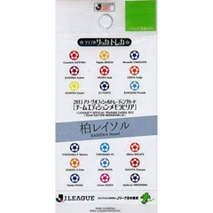 ＢＢＭ　’１３　柏レイソル　ＰＡＣＫ