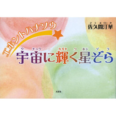 宇宙に輝く星ぞら　エホントハナソウ