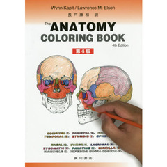 カラースケッチ解剖学　第４版
