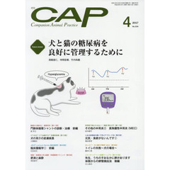 ＣＡＰ　３３４