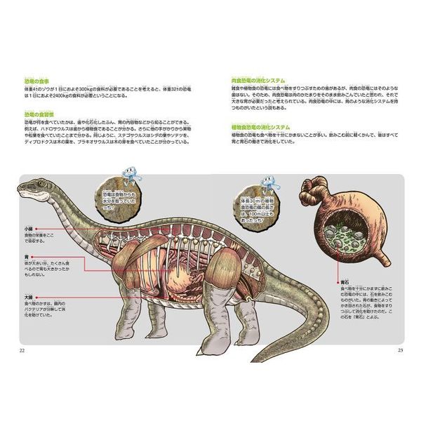 恐竜キングダム 6 最速の恐竜をさがせ！ 通販｜セブンネット