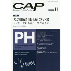 ＣＡＰ　３６５