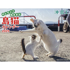 ’２５　やんちゃで気ままな島猫カレンダー