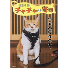 元野良猫チャチャの毎日