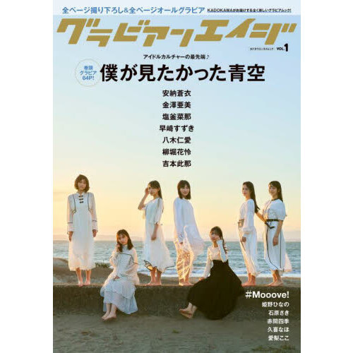 ֥ͥåȥåԥ󥰤㤨֥ӥ󥨥 VOL.1פβǤʤ1,980ߤˤʤޤ