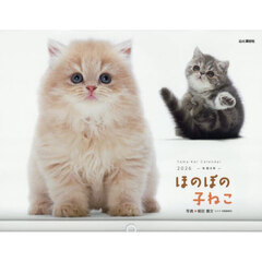 カレンダー　’２６　ほのぼの子ねこ