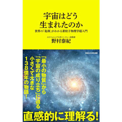 宇宙はどう生まれたのか　世界の「起源」がわかる素粒子物理学超入門