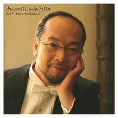 アマリッリ麗し