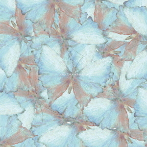 ֥ͥåȥåԥ󥰤㤨hontounokotoפβǤʤ3,300ߤˤʤޤ