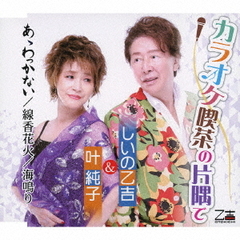 南野陽子／Yoko Minamino 40th Anniversary Records（完全生産