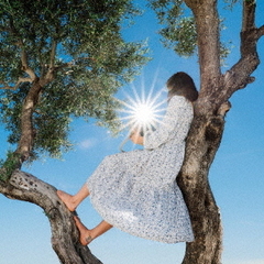 Little　Miss　Sunshine