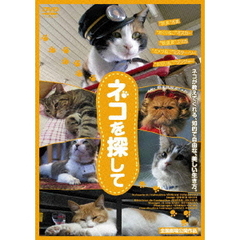 ネコを探して（ＤＶＤ）
