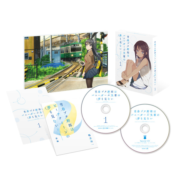 青春ブタ野郎はバニーガール先輩の夢を見ない 1 ＜完全生産限定