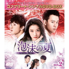 泡沫の夏 ～トライアングル・ラブ～ BOX 2 ＜コンプリート・シンプルDVD-BOX 5000円シリーズ／期間限定生産＞（ＤＶＤ）